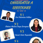 COMITÉ DE ELECCIONES 2025